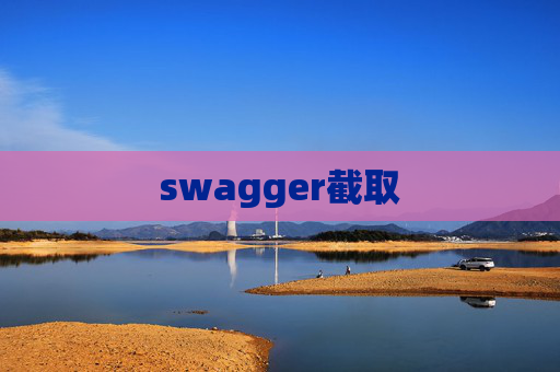 swagger截取